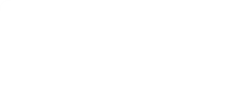Partner 1