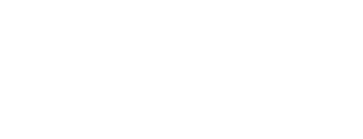 Partner 7