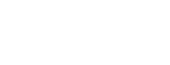 Partner 9